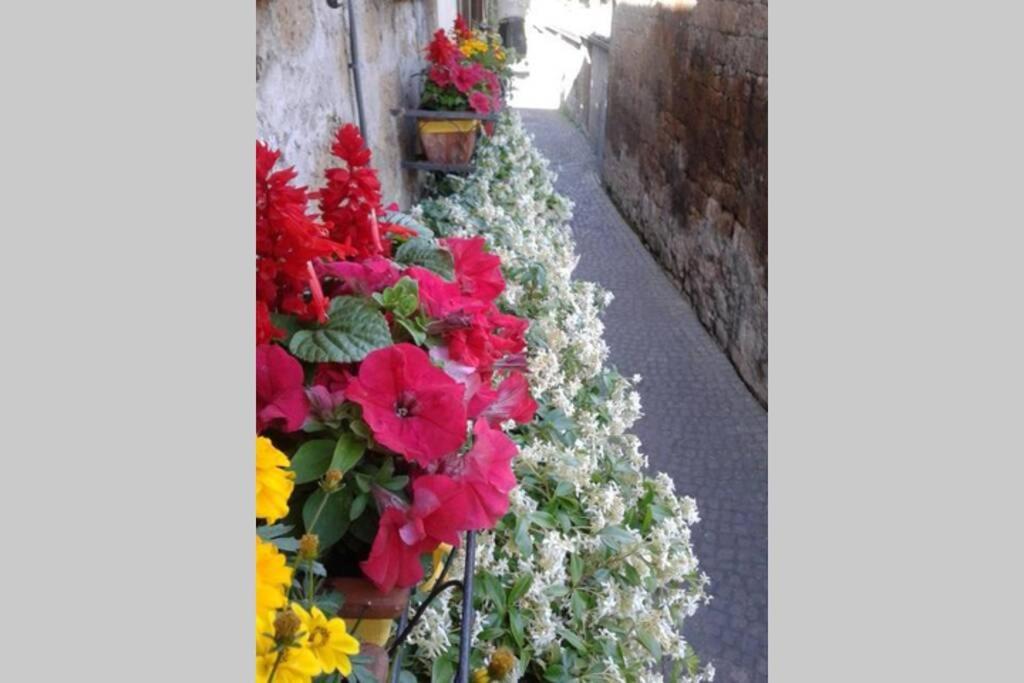 Il Gelsomino Di Isia Villa Orvieto Luaran gambar